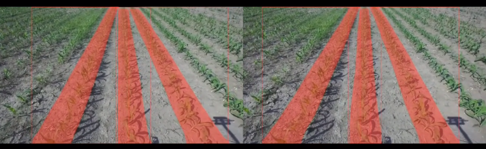 Row Detection